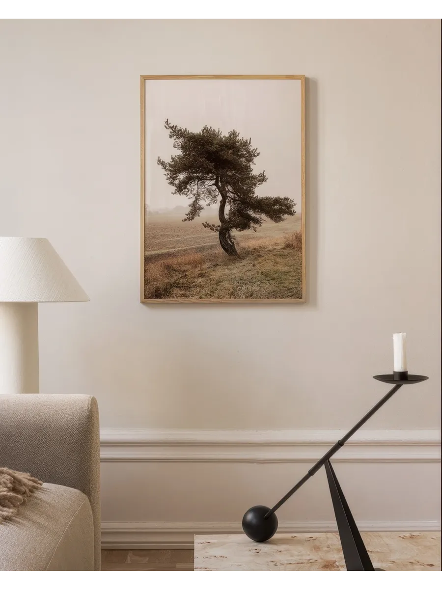 Moody Tree