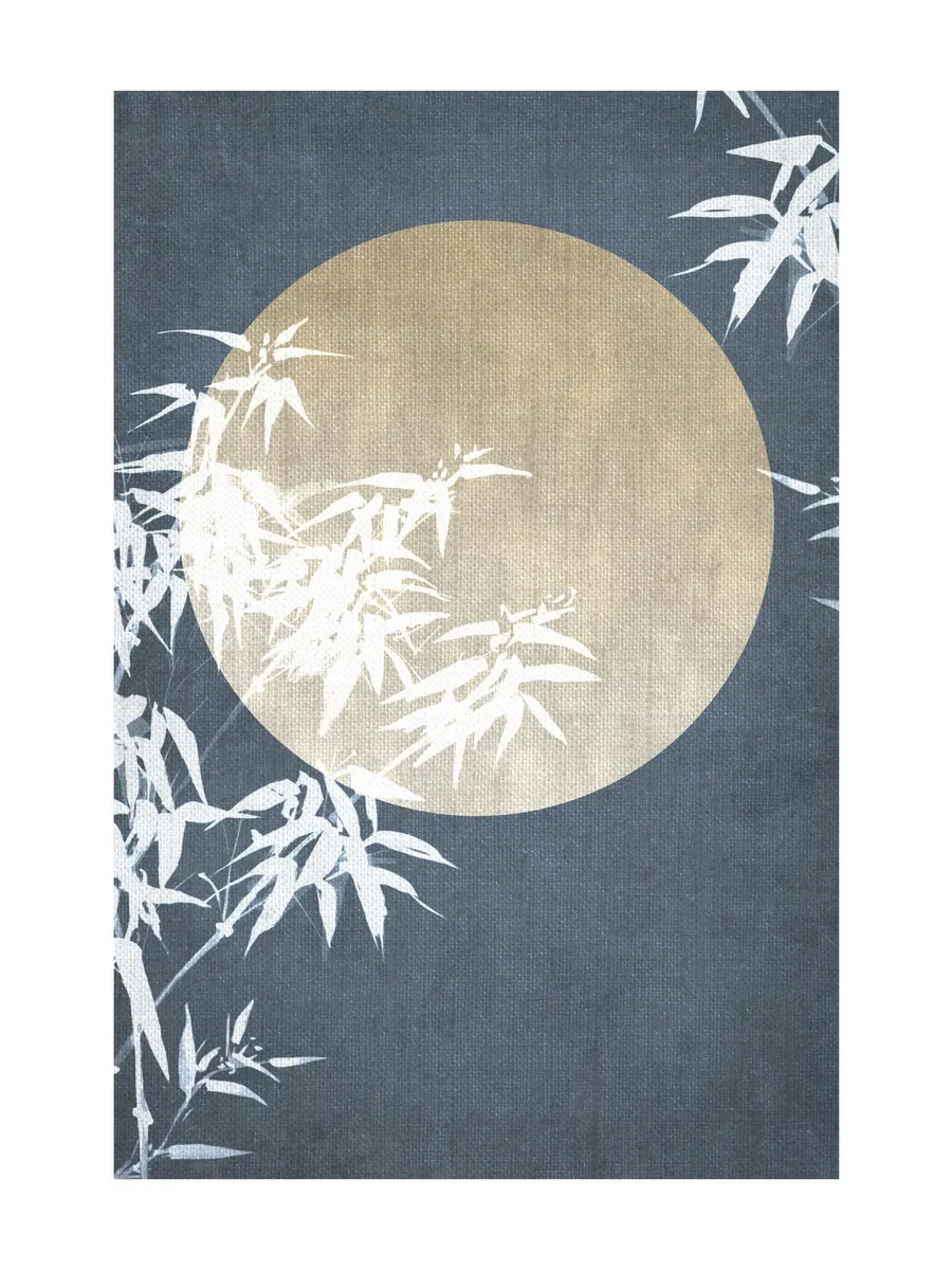 Moon Night Sky No2