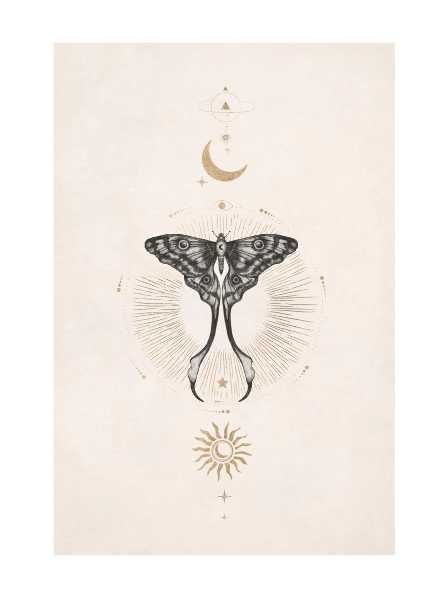 Moon Star Butterfly