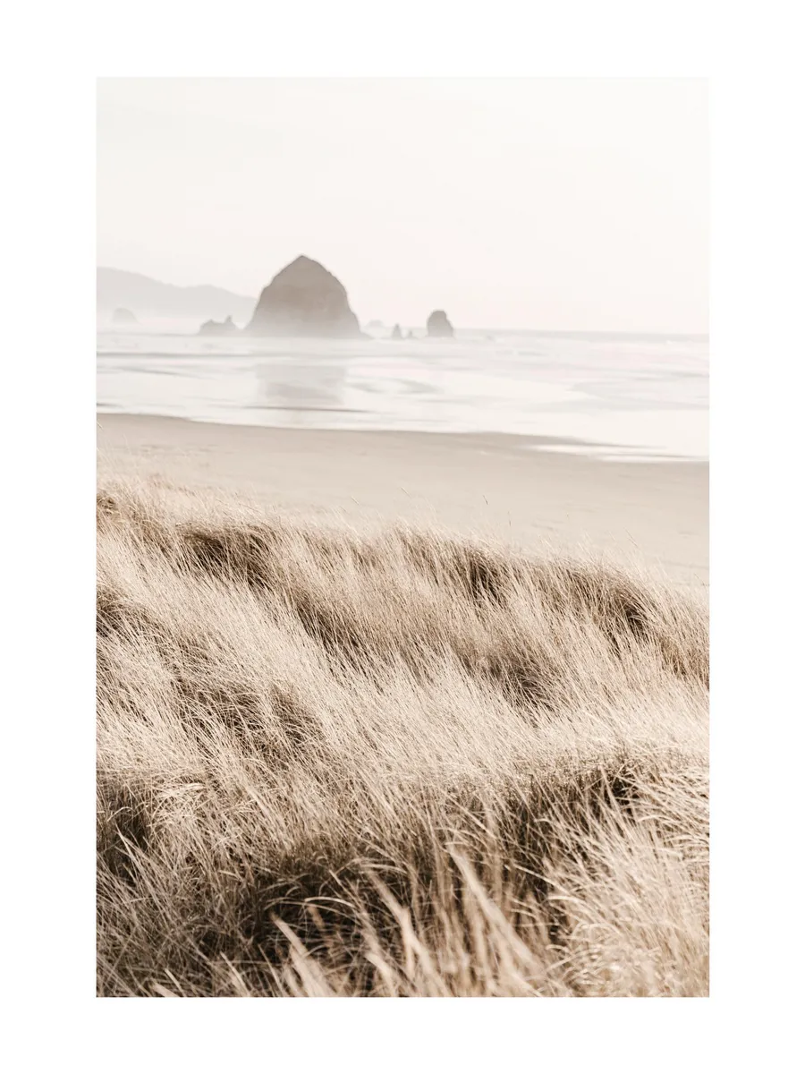 Morning Beach