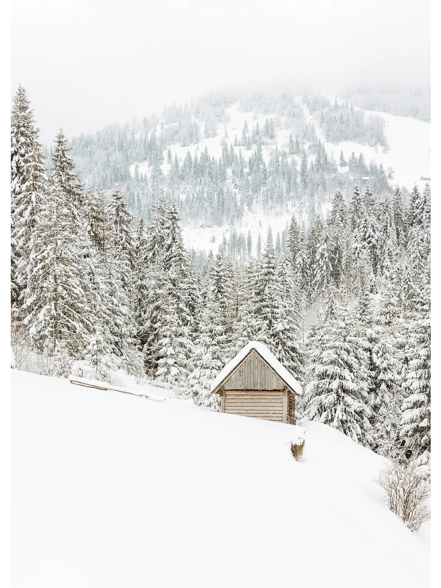 Mountain Cabin