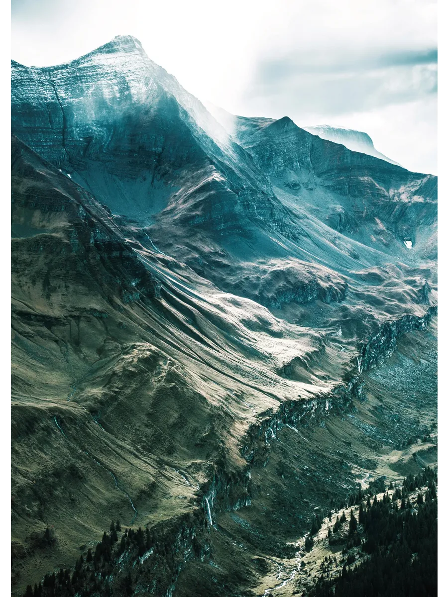 Mountain Mist