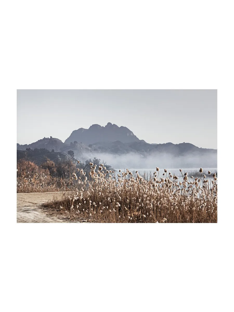 Mountain River