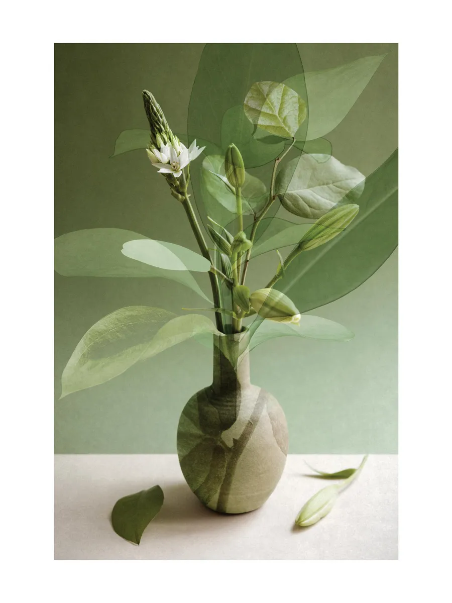 Multiple Botanicals