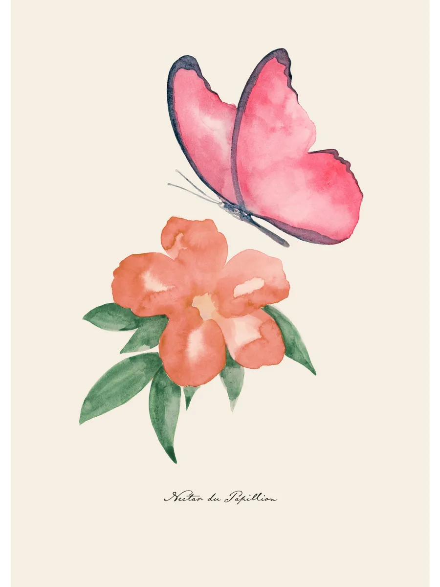 Nectar de Papillon
