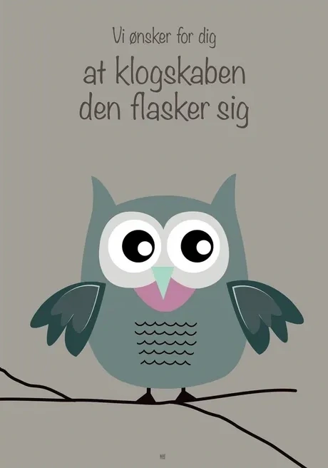 Nskeplakaten Uglen