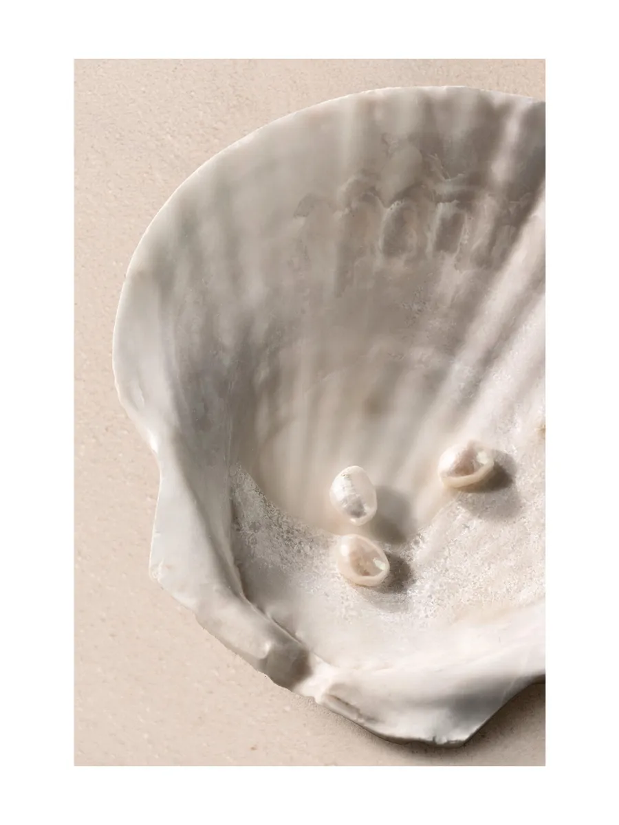 Oceans Jewels