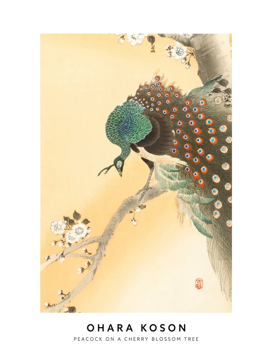 Ohara Koson Peacock on a Cherry Blossom Tree