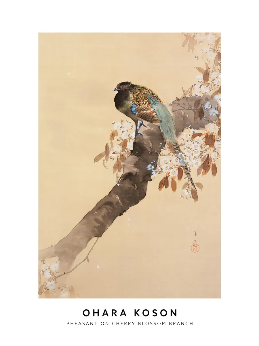 Ohara Koson Pheasant on Cherry Blossom Branch