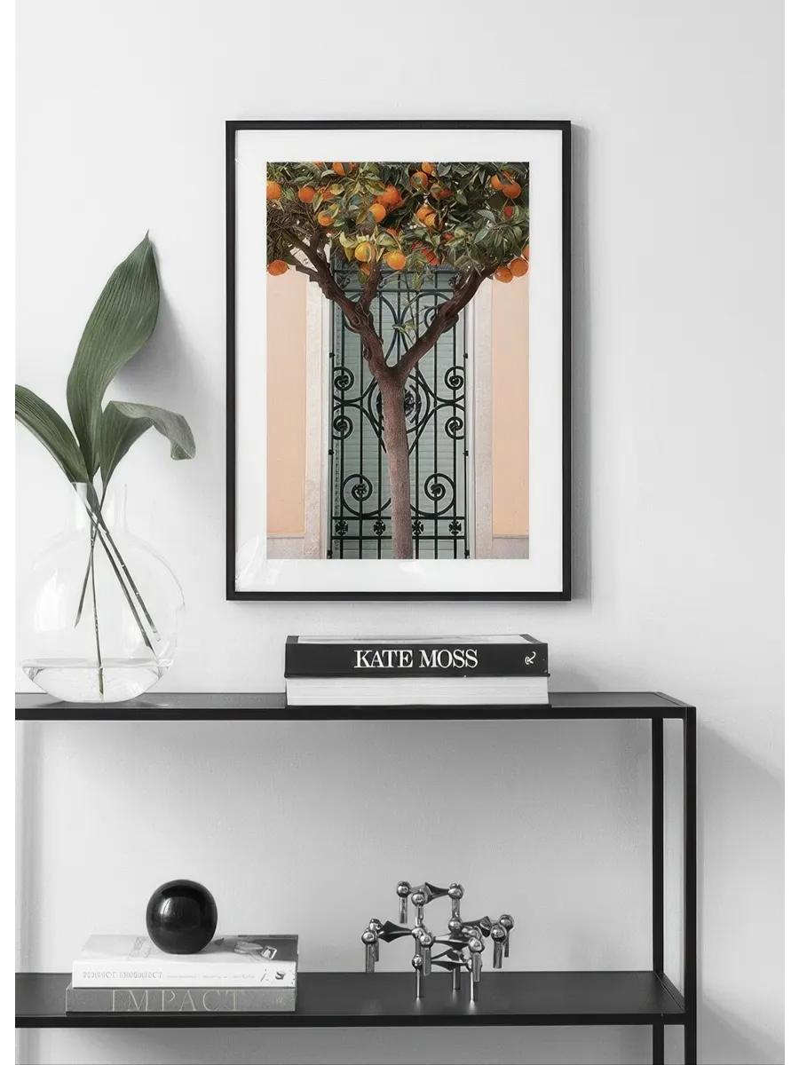 Orange Tree in Valencia