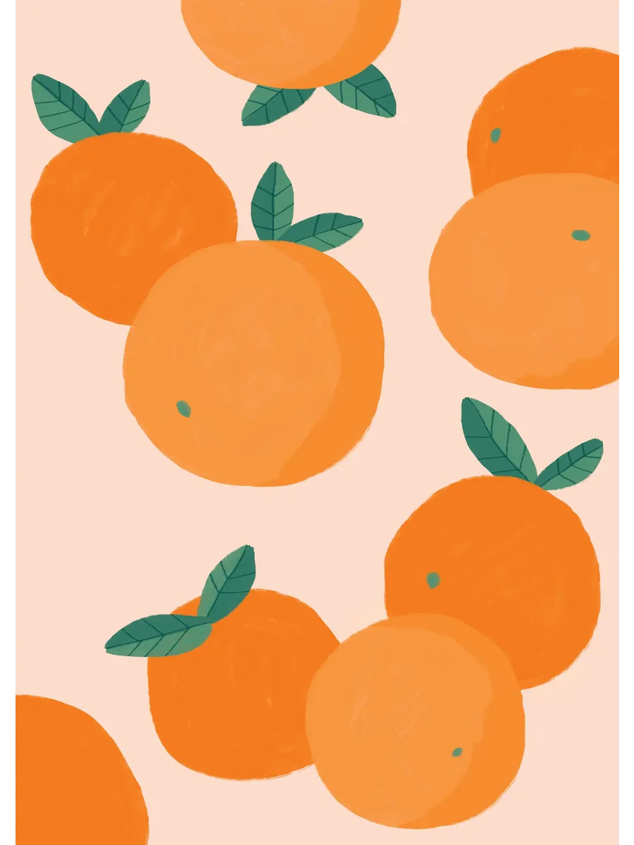 Oranges Illustration