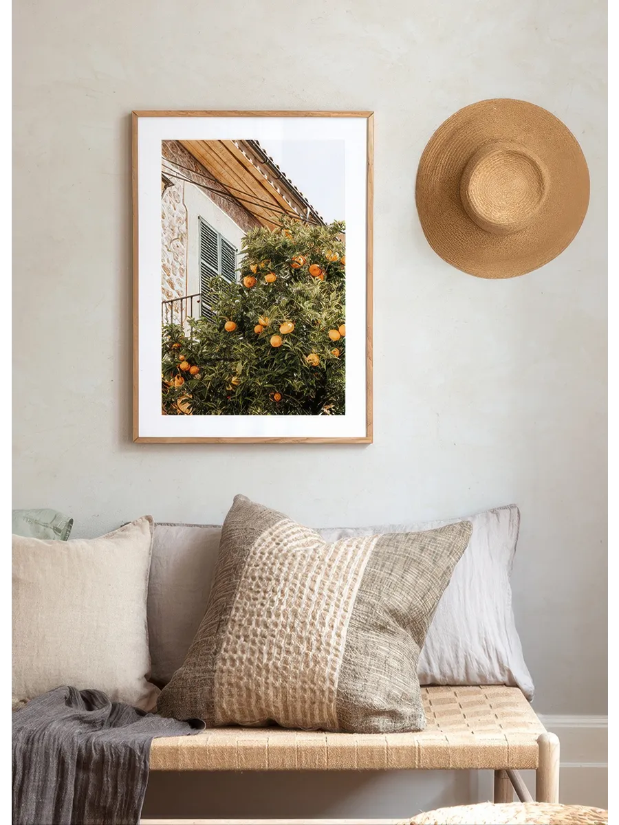Oranges in Garden