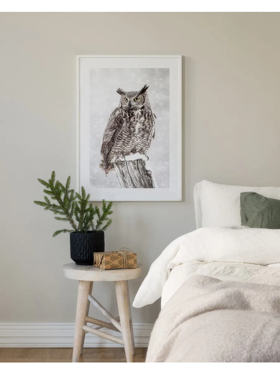 Owl in Snowfall