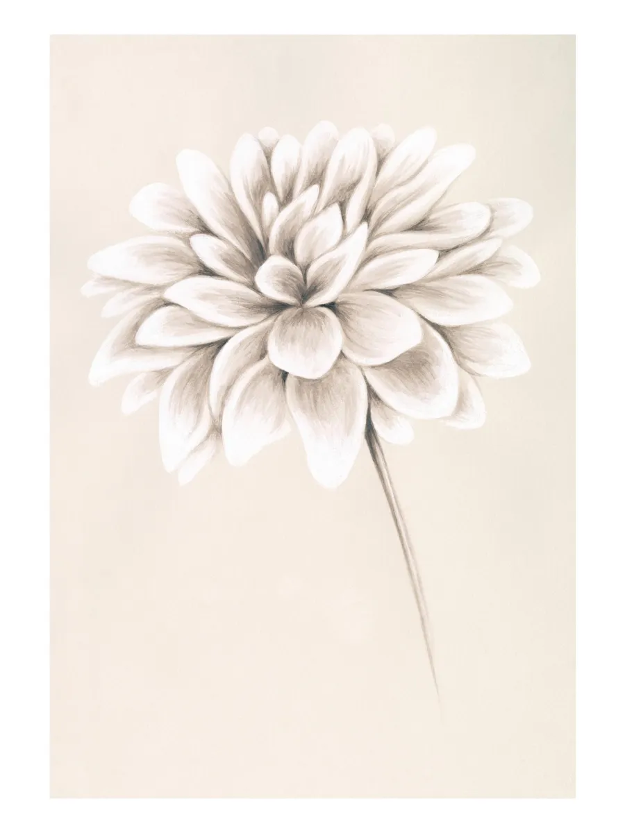 Painted Dahlia