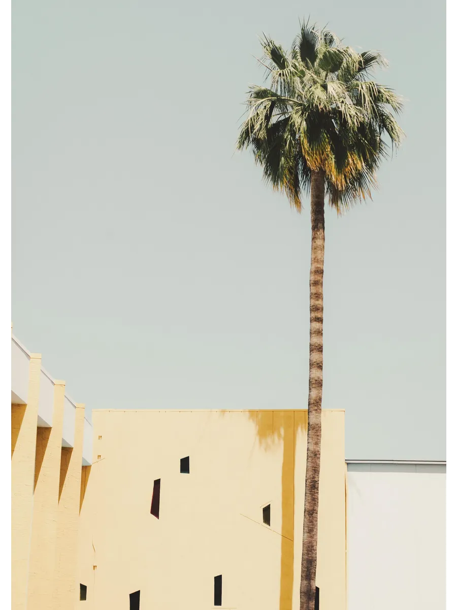 Palm Springs Serenity