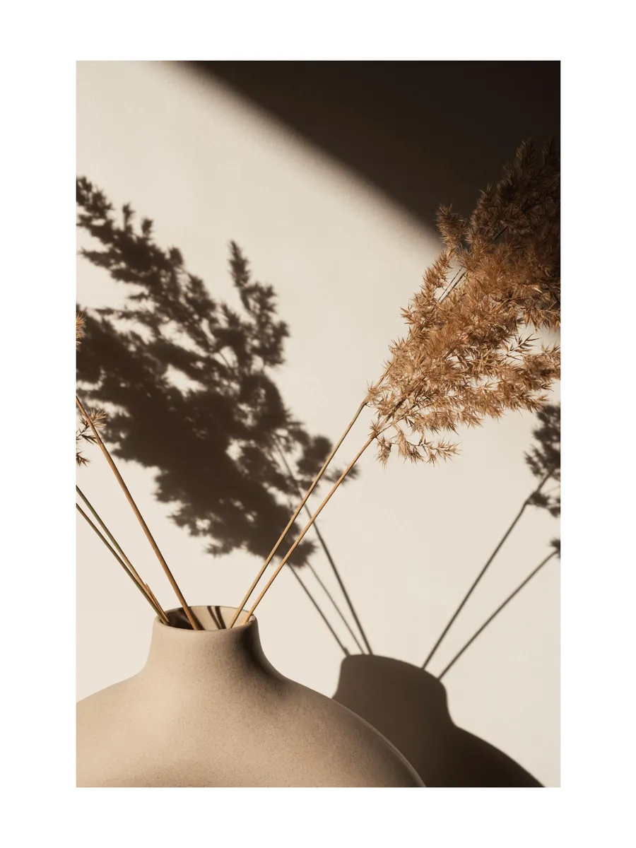 Pampas Grass Silhouette