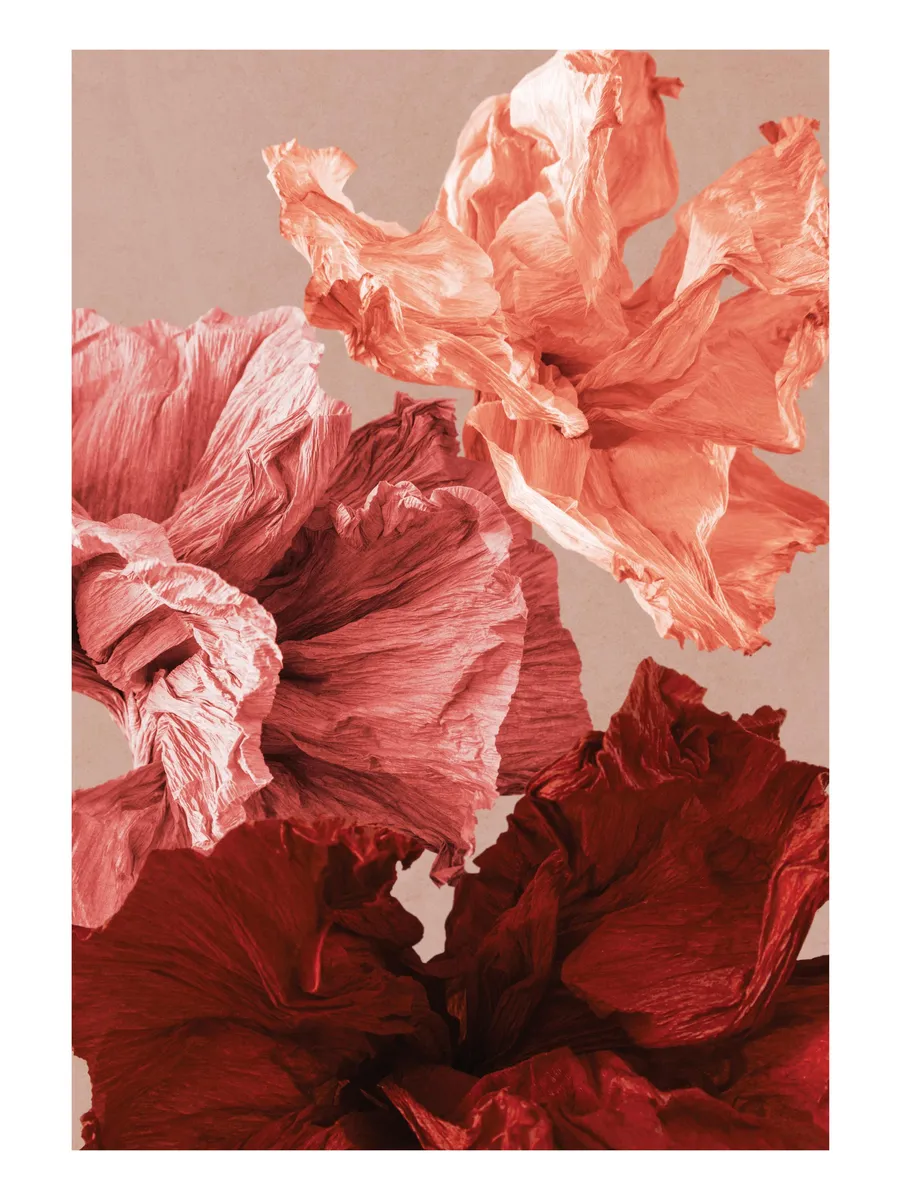 Paper Blossom No2