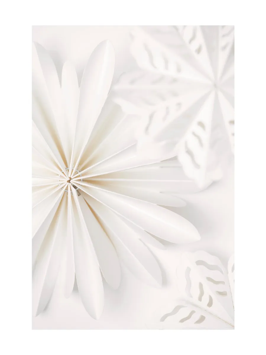 Paper Stars