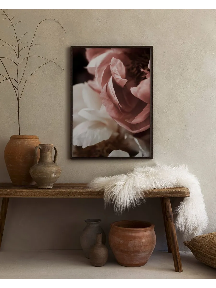 Peony Love
