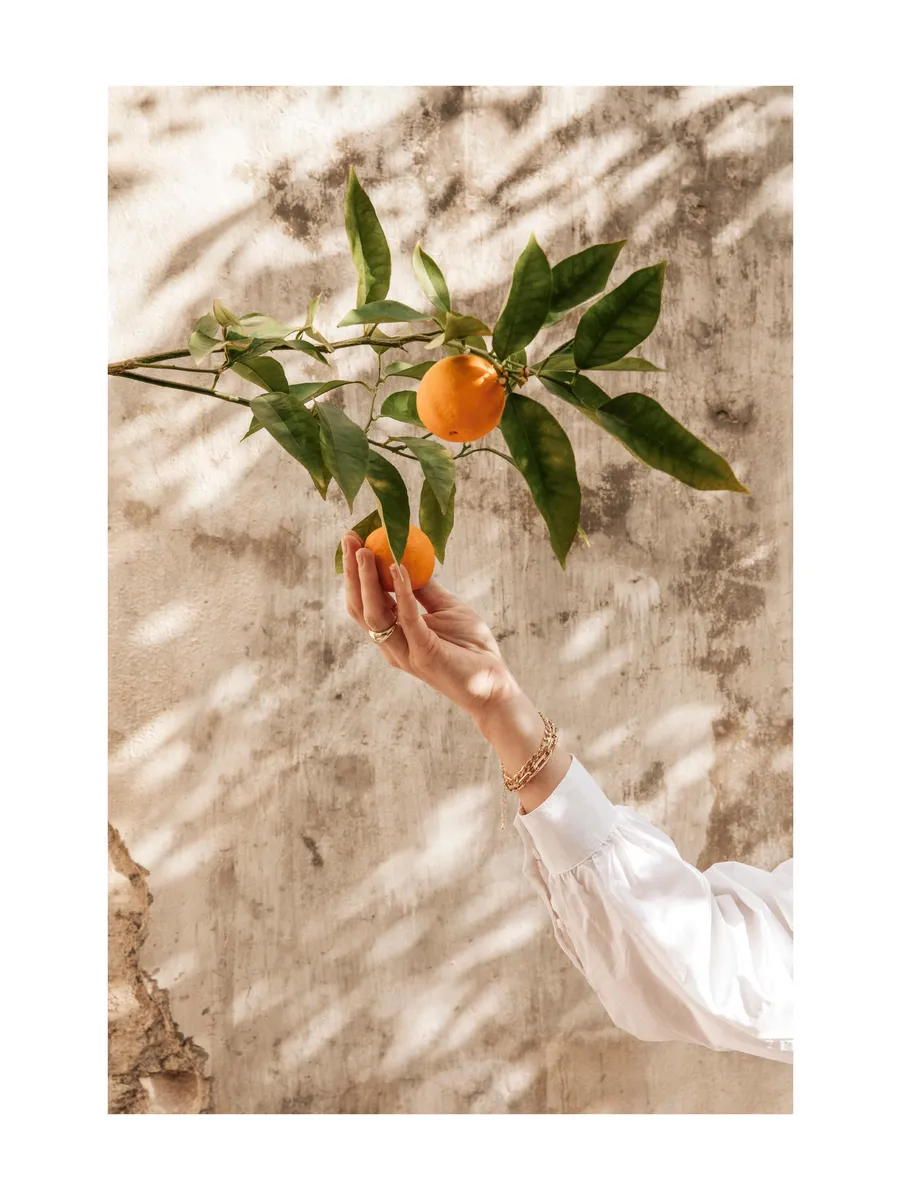 Picking Oranges