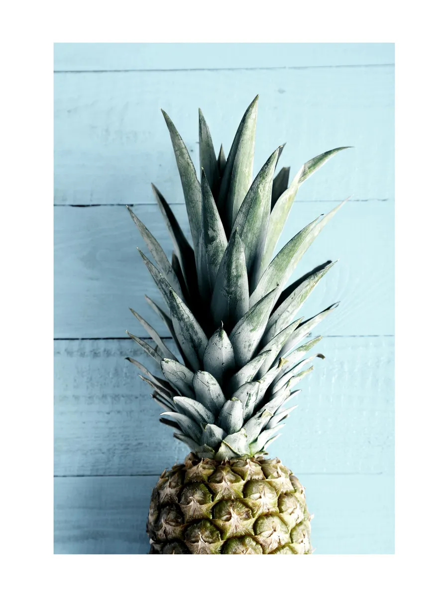 Pineapple Top