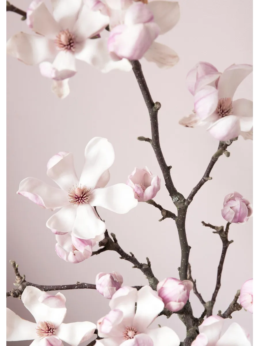 Pink Spring Flower