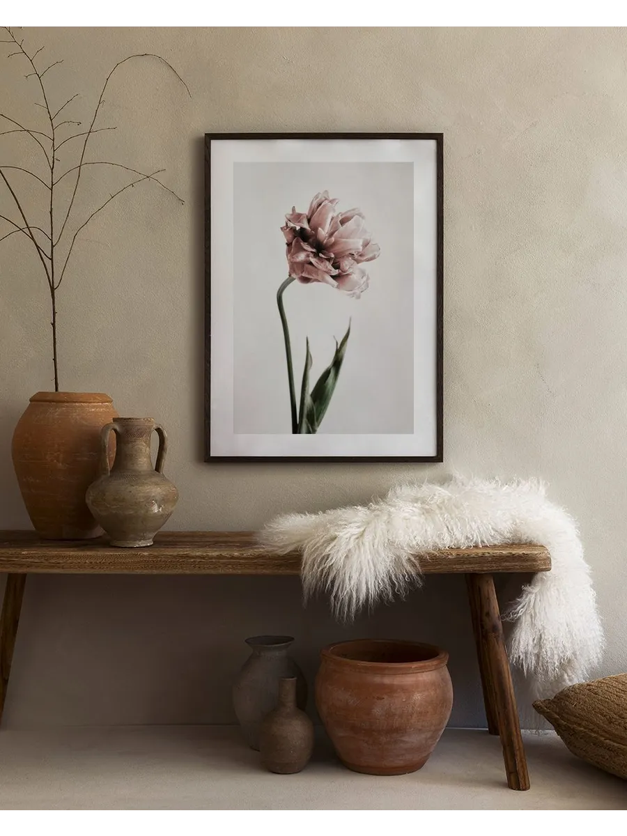 Pink Tulipe No1