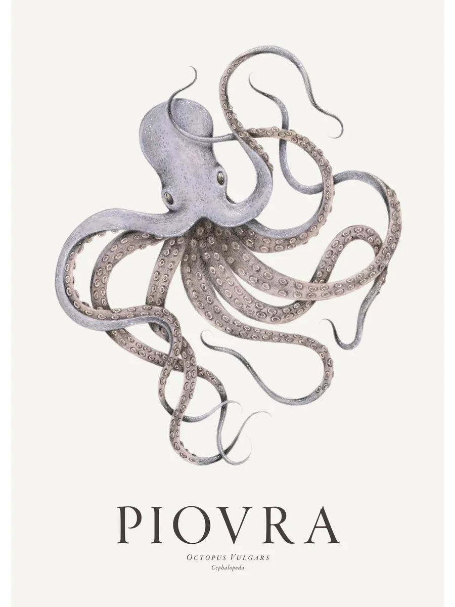 Piovra