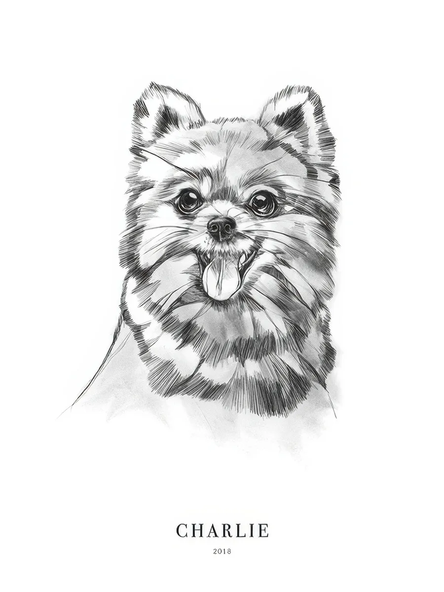 Pomeranian Dog Personal