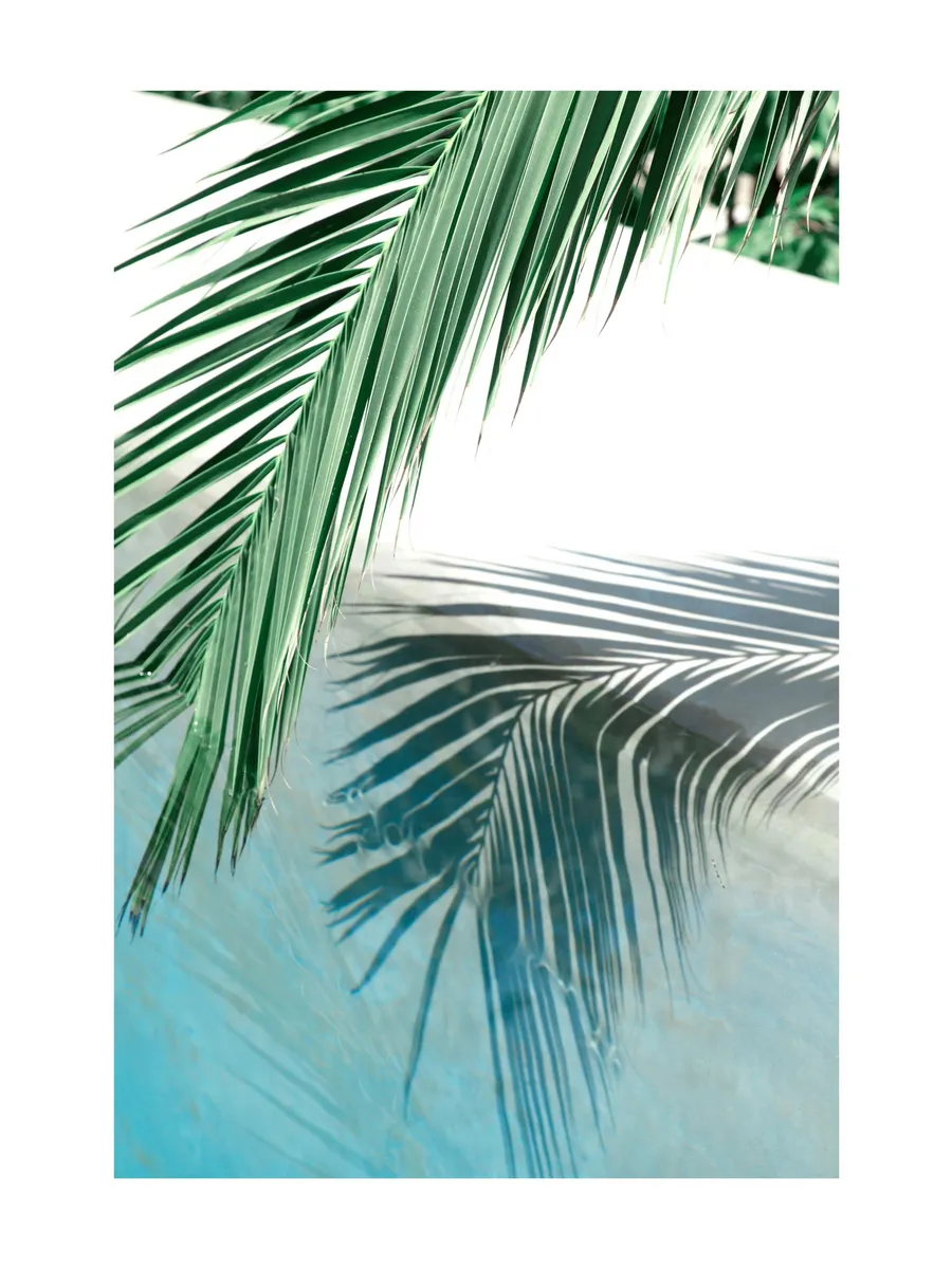 Poolside Palm Reflection