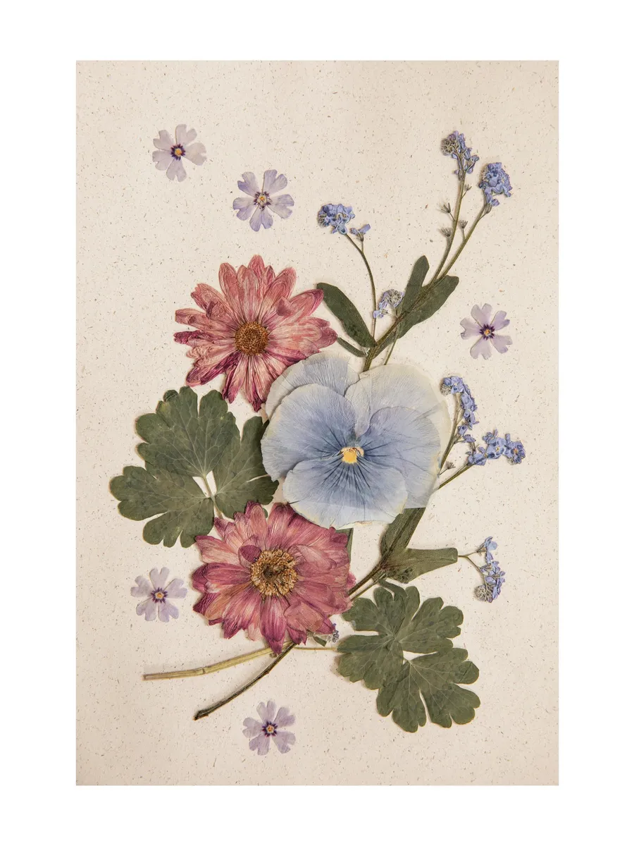 Pressed Blossom