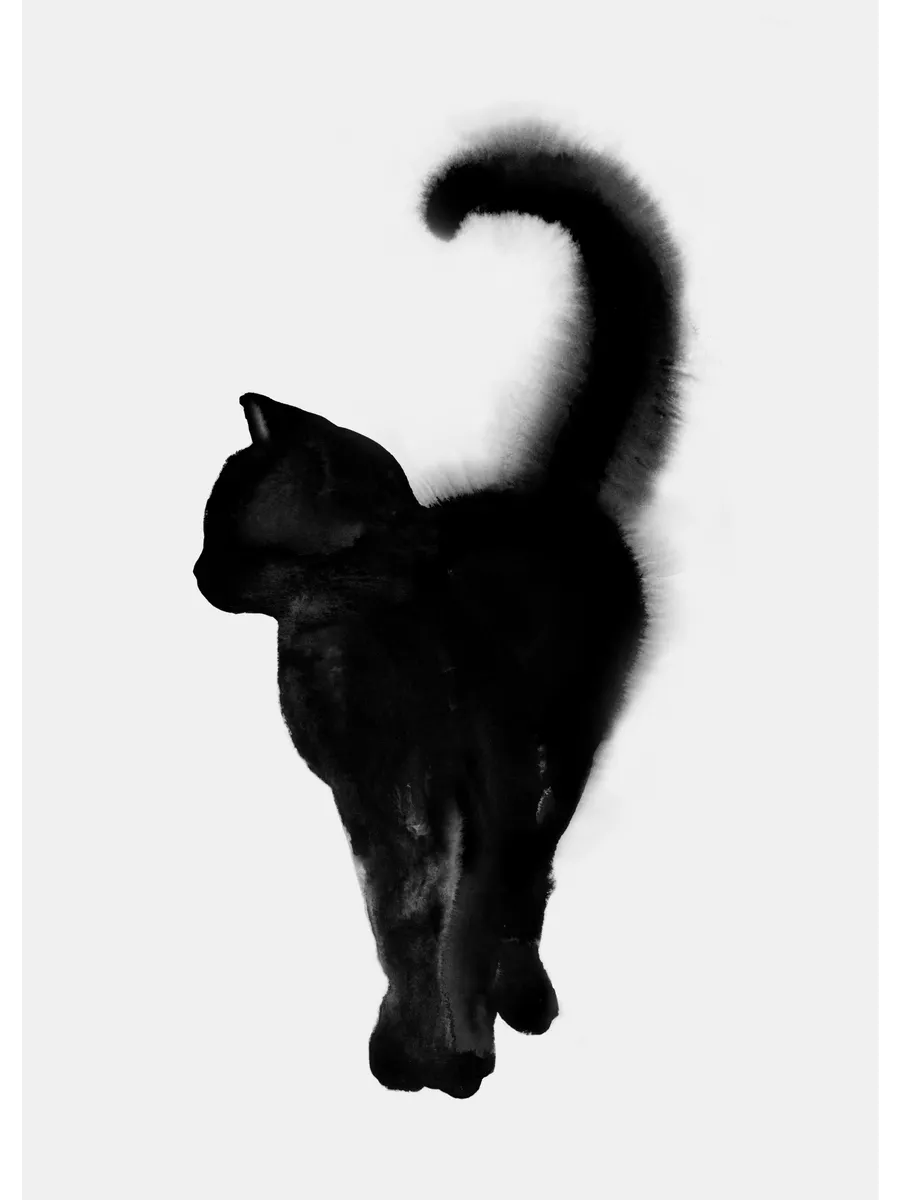 Proud Cat