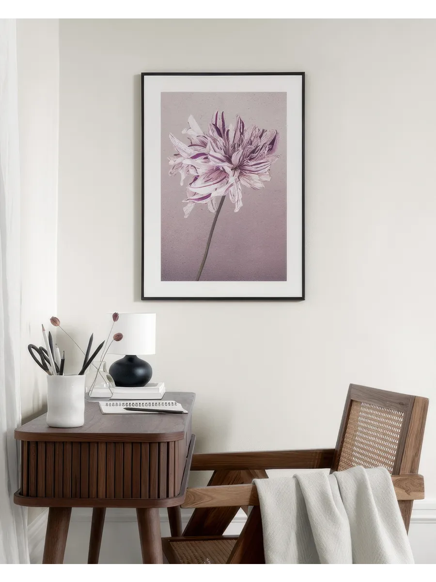 Purple Dahlia No1
