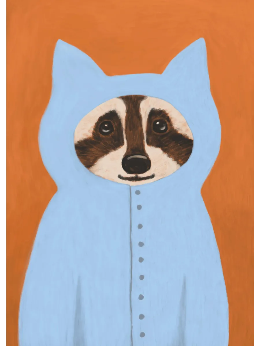 Racoon