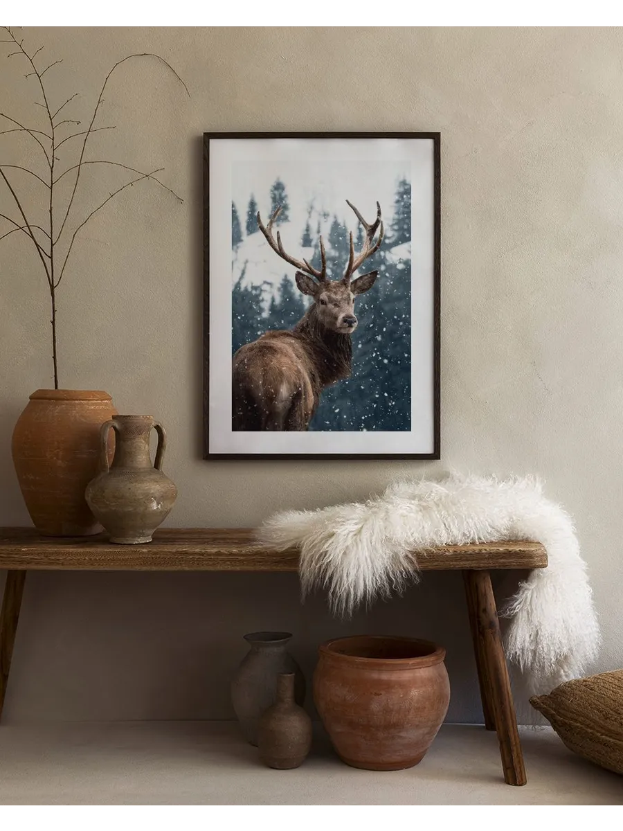 Red Deer in Snow