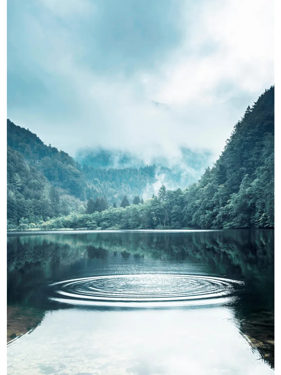 Rings on the Water