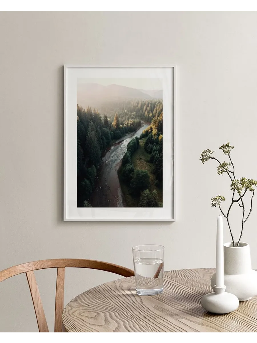 River in Forest