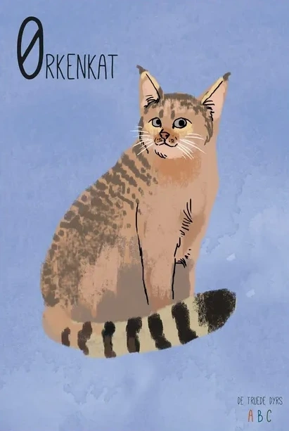 Rkenkat