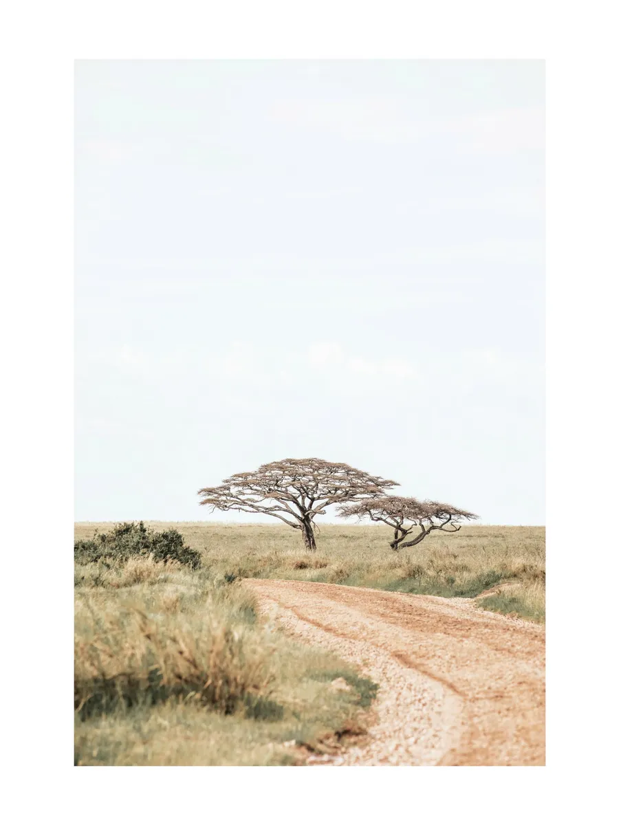 Road to Serengeti
