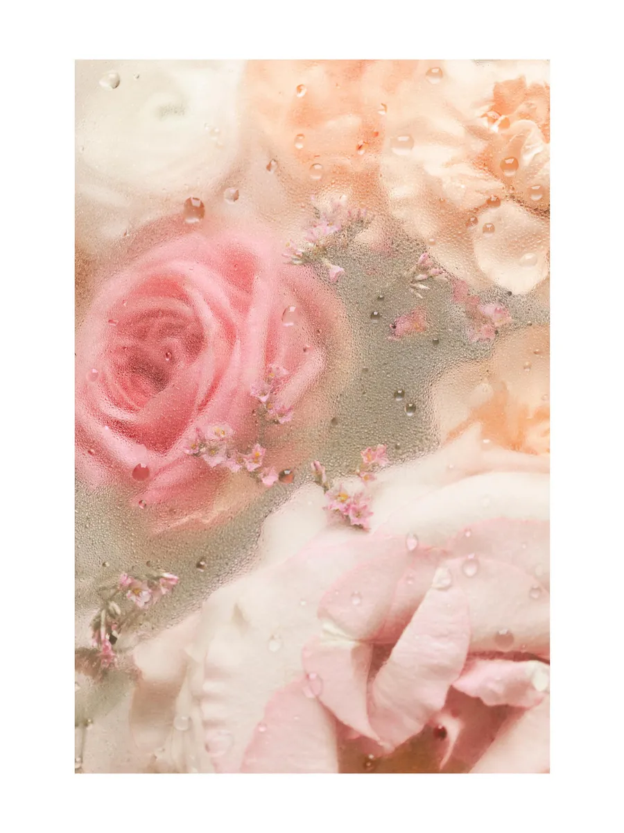Romantic Roses No2