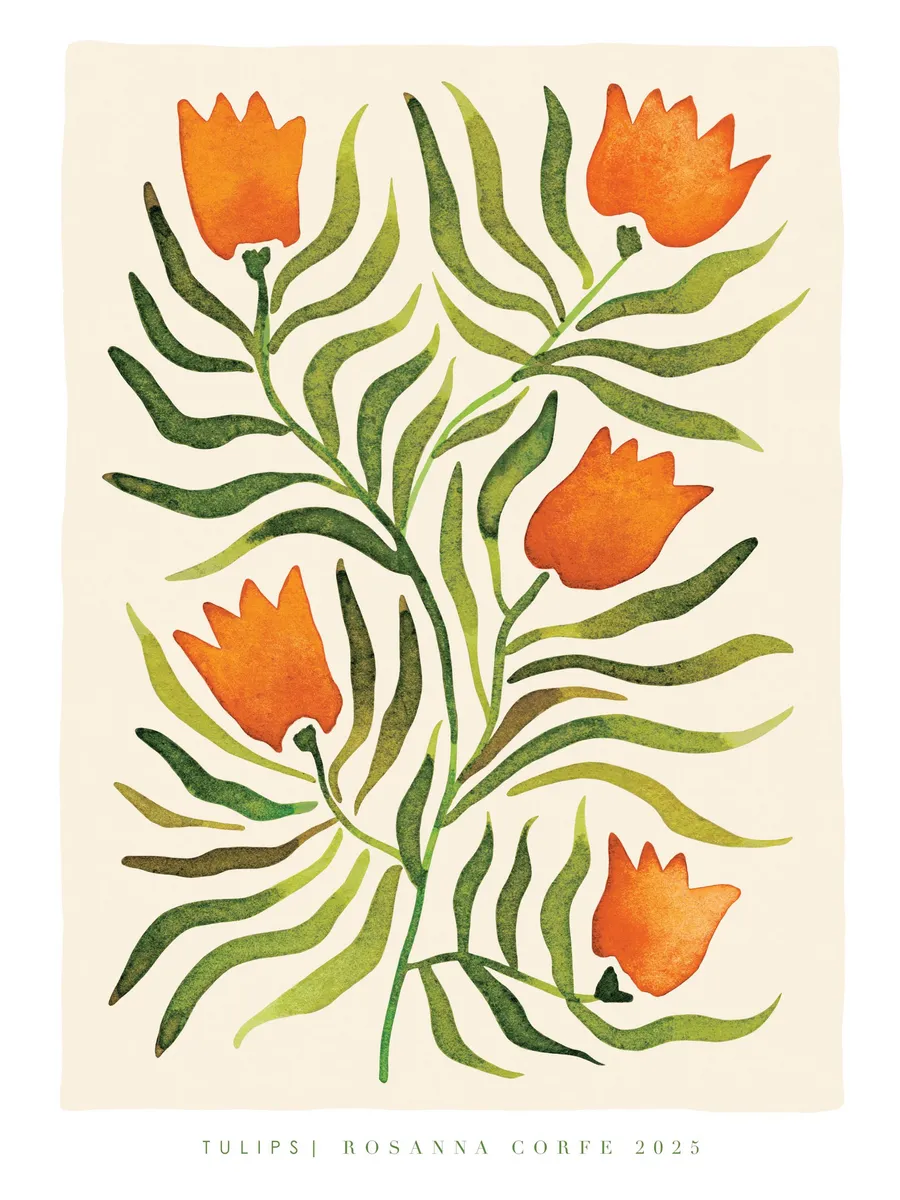 Rosanna Corfe Tulips