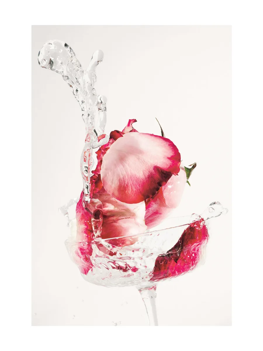 Rose Drink Splash