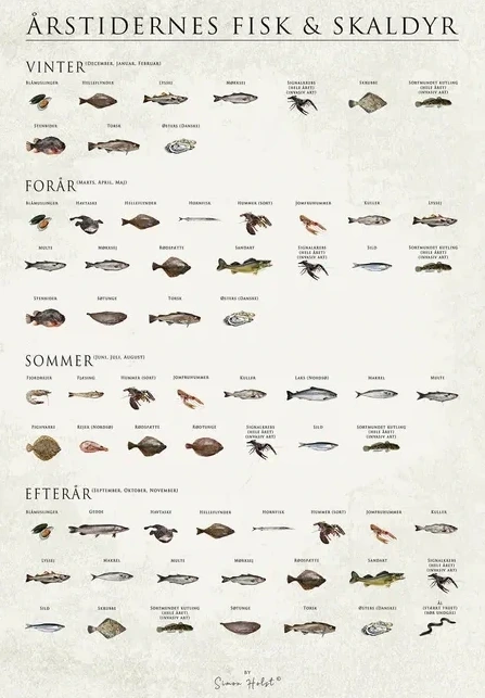 Rstidernes Fisk Og Skaldyr Papir