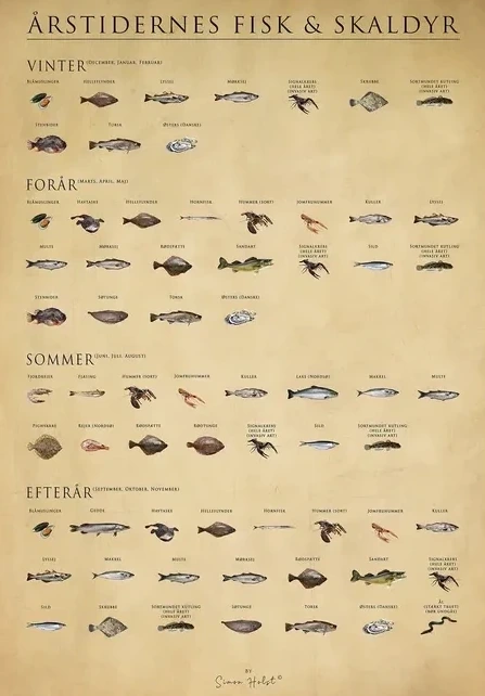 Rstidernes Fisk Og Skaldyr, Papir