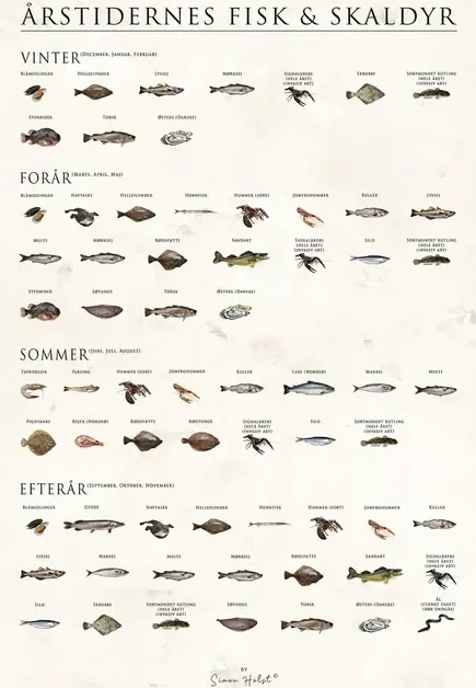 Rstidernes Fisk Og Skaldyr, Sten