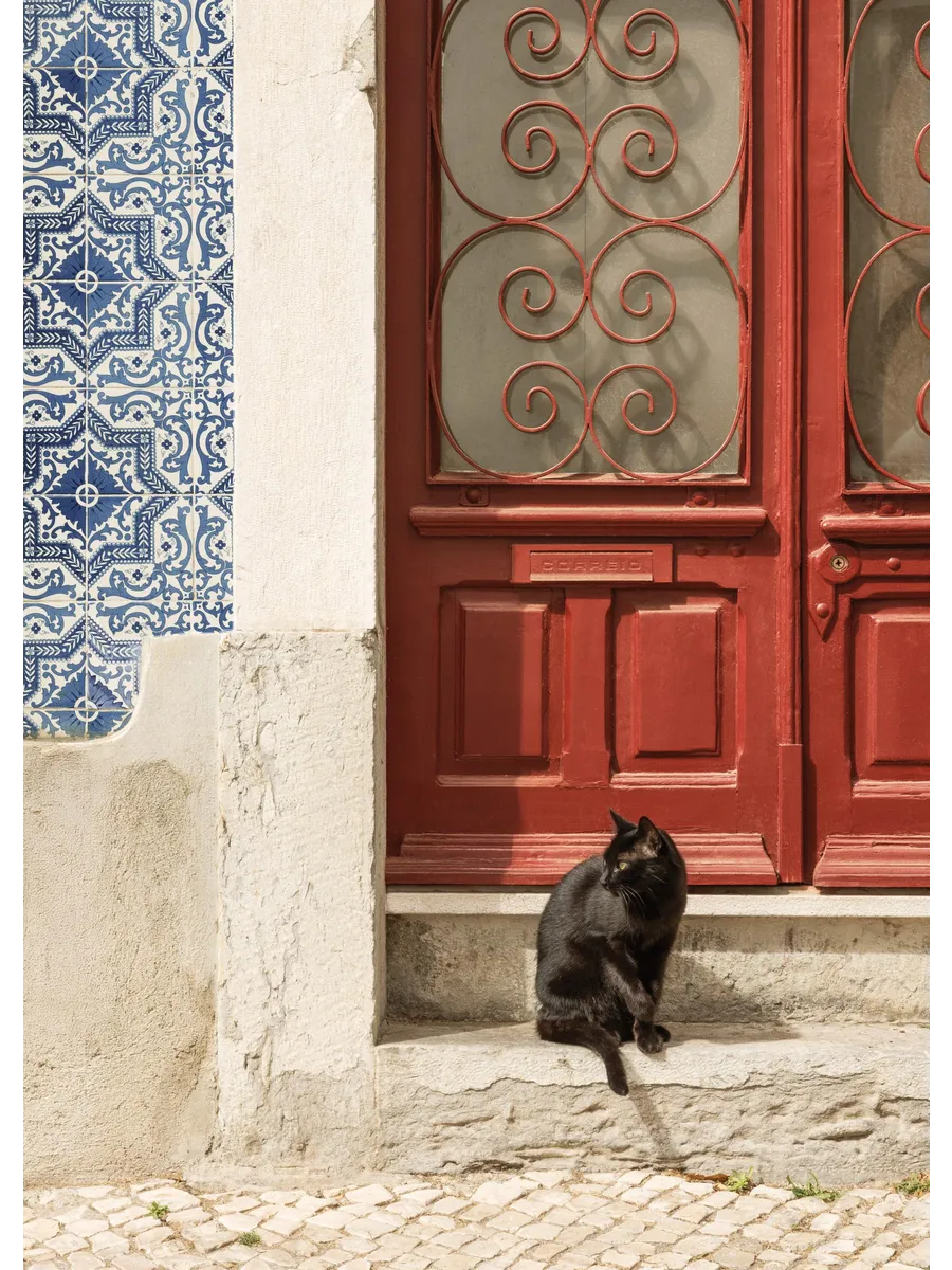 Rua Do Gato