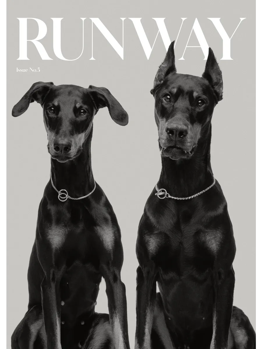 Runway Dogs
