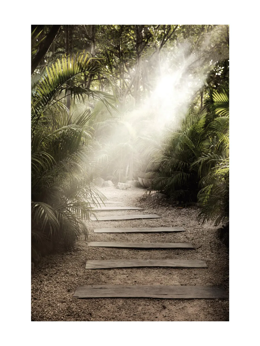 Secret Path