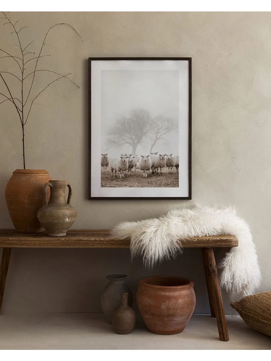 Sheep Herd