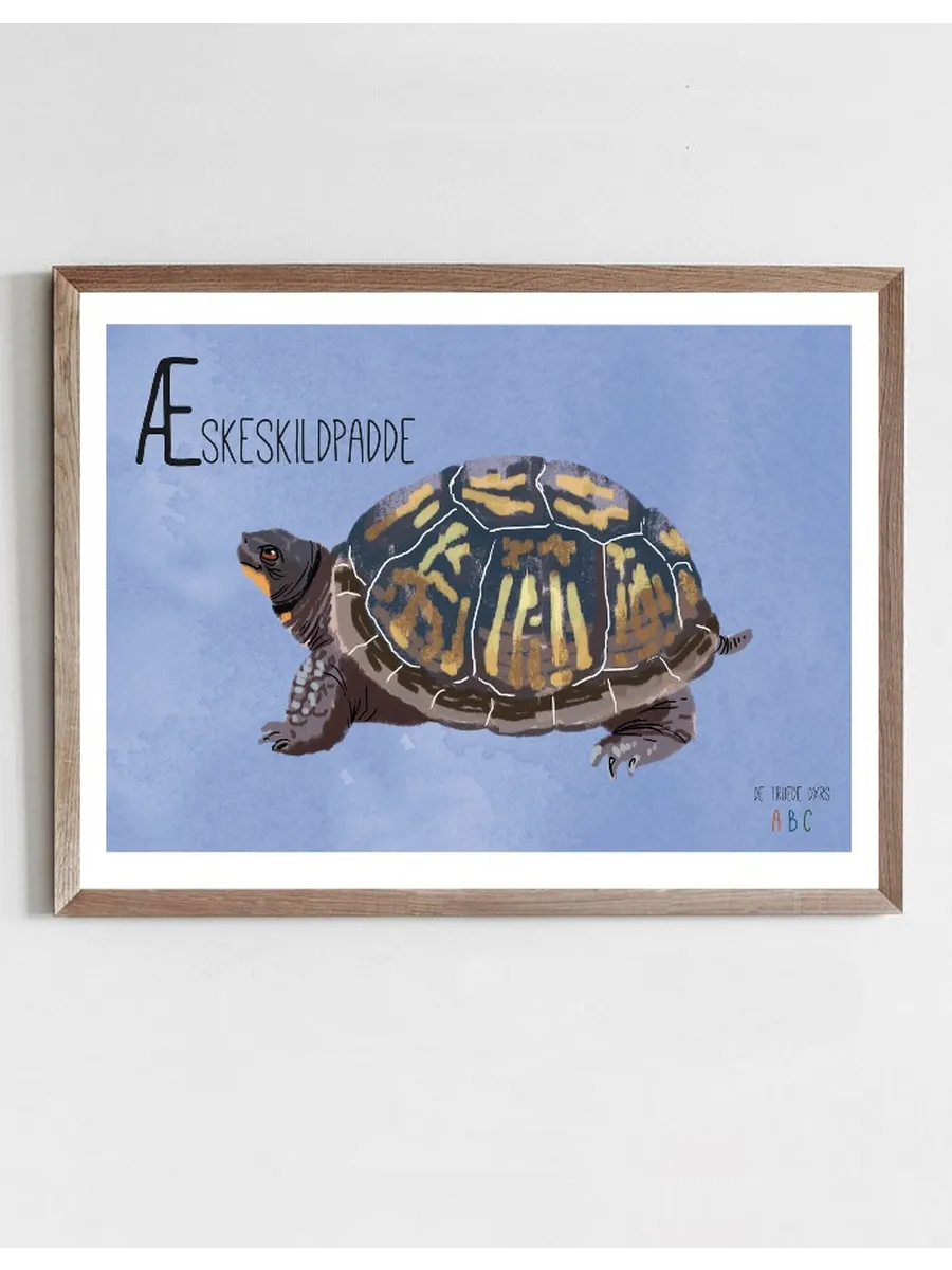 Skeskildpadde